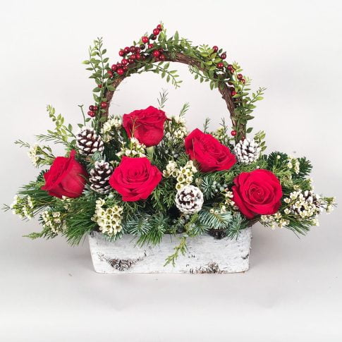 Roses in the Snow