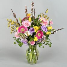 Springalicious