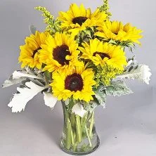 Sunflower Remedy