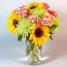 Sunny Sunsations