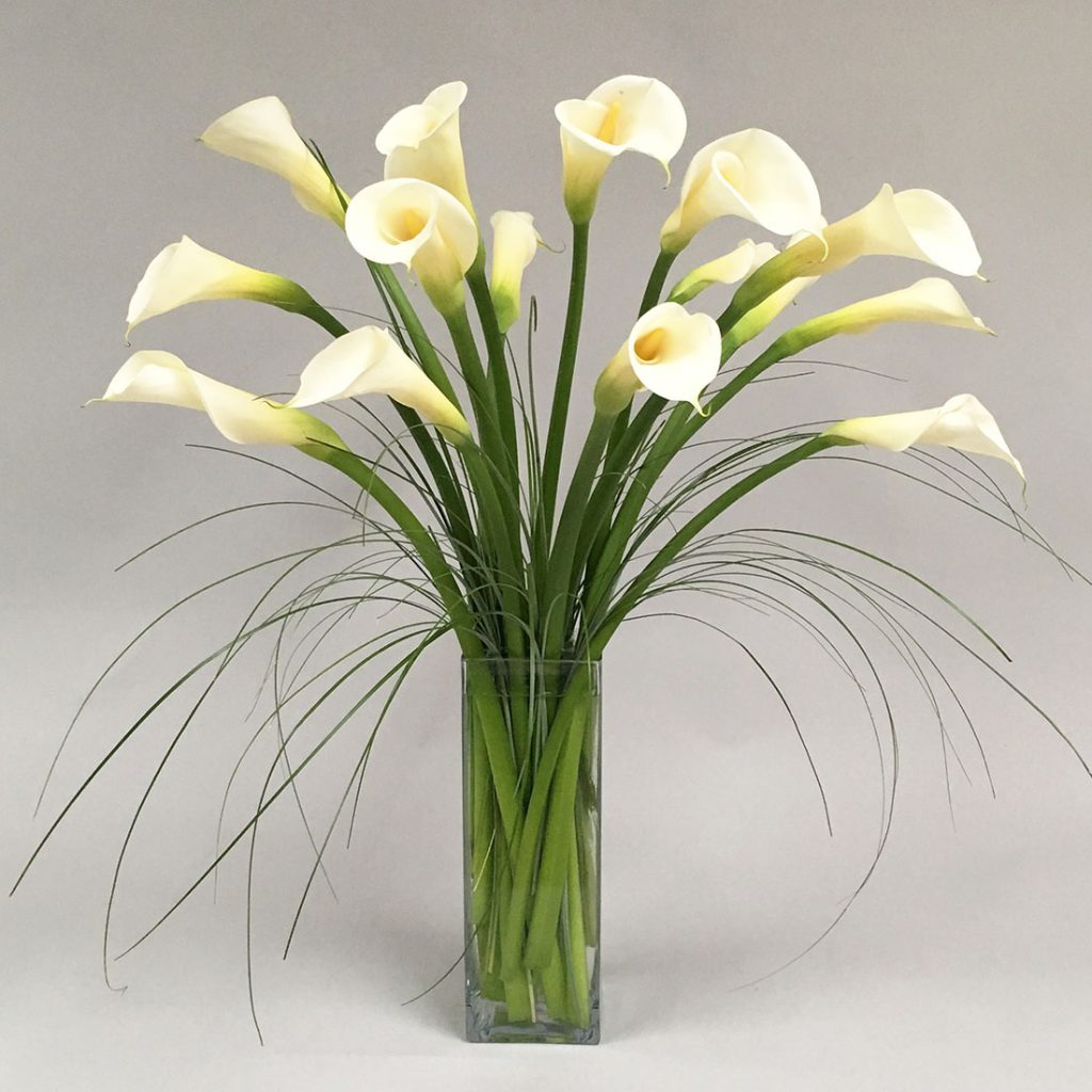 Sympathy Flowers in Glenview IL , Wilmette IL Morning Glory Flower Shop