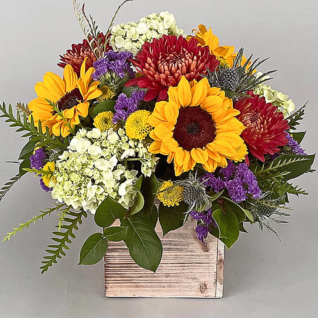 Box of Sunshine