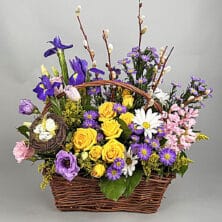 Spring Has Arrived