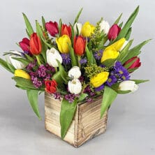Spring in a Box