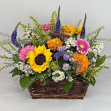 Summers Garden