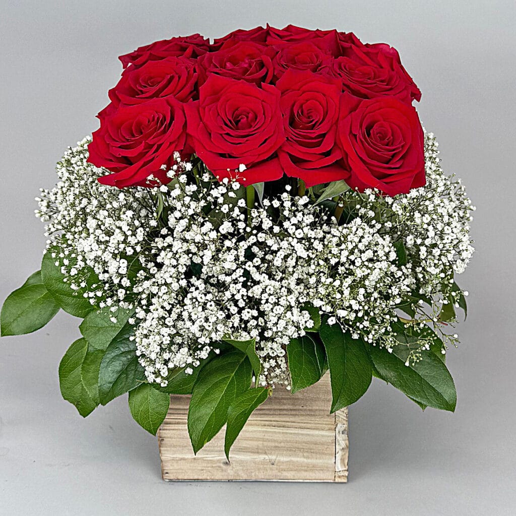 So Lovely